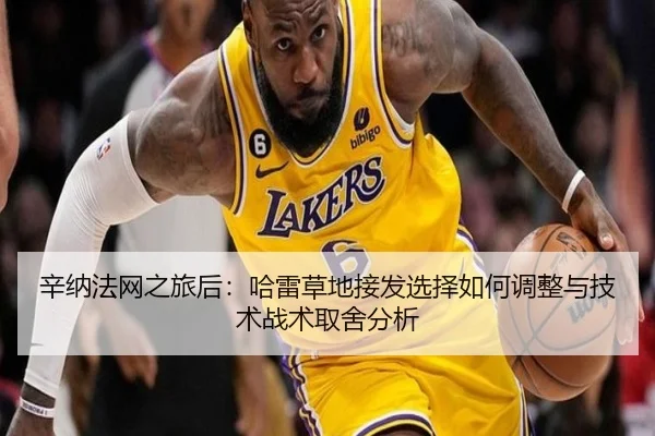 辛纳法网之旅后：哈雷草地接发选择如何调整与技术战术取舍分析