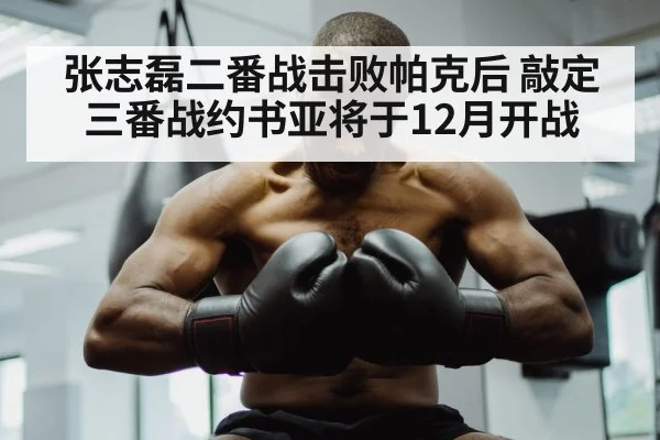 Anthony Joshua boxing