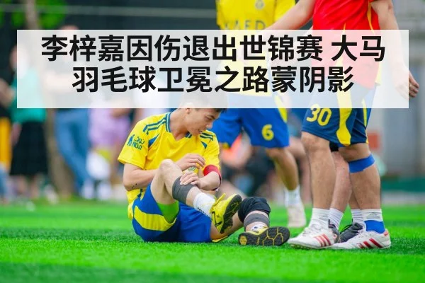 李梓嘉因伤退出世锦赛 大马羽毛球卫冕之路蒙阴影